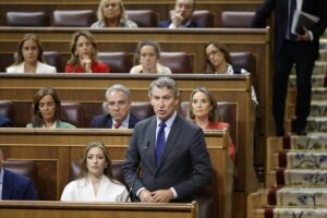 El líder del PP, Alberto Núñez Feijóo, en la sesión de control al Gobierno. (Foto: Congreso)