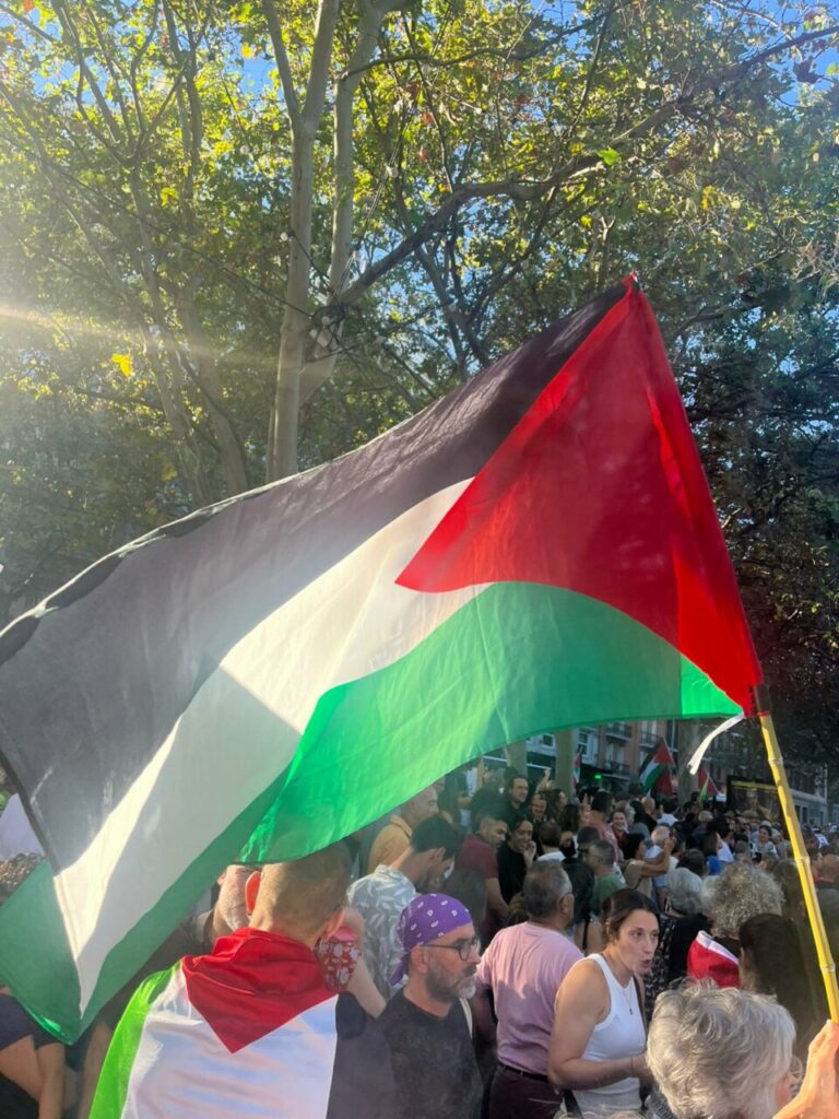 Manifestación con bandera palestina ondeando entre la multitud.