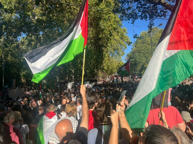 Multitud de personas sosteniendo banderas palestinas en una manifestación