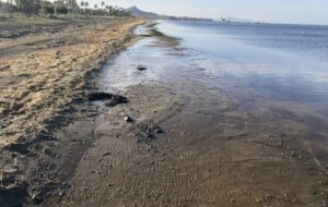 Imagen de la zona del Mar Menor estudiada. / UAB