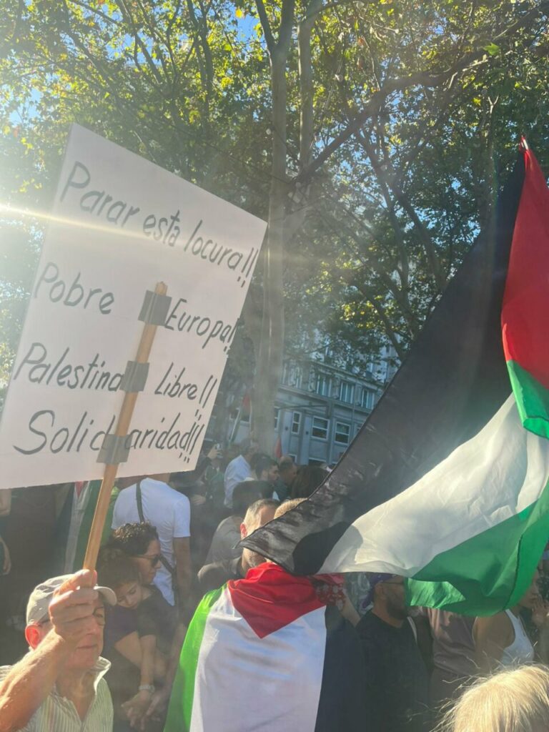 Manifestantes sosteniendo pancartas y banderas en apoyo a Palestina.