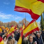 Manifestación con banderas de España en un evento público