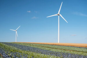 Imagen de molinos de viento de Iberdrola. (Foto: Iberdrola)