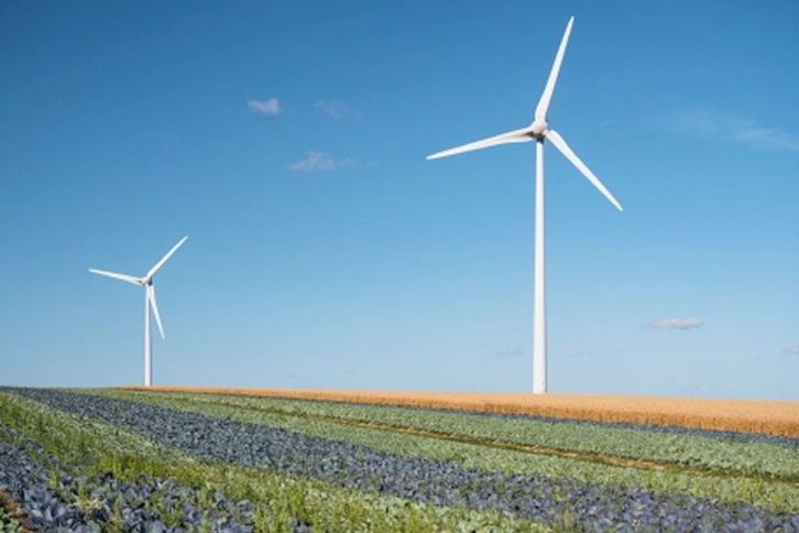 Imagen de molinos de viento de Iberdrola. (Foto: Iberdrola)