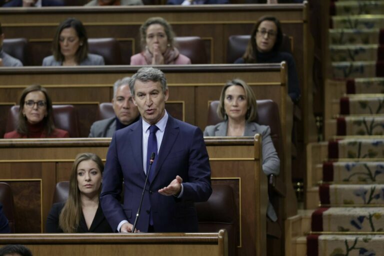 El líder del PP, Alberto Núñez Feijóo, en la sesión de control al Gobierno. (Foto: Congreso)