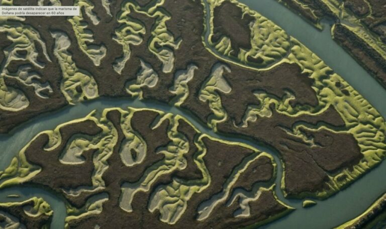 Fotograf&iacute;a a&eacute;rea de las marismas de Do&ntilde;ana / H&eacute;ctor Garrido (EBD-CSIC)