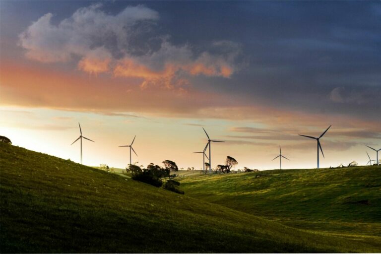 Parque e&oacute;lico Lake Bonney de Iberdrola en Australia. (Foto: Iberdrola)