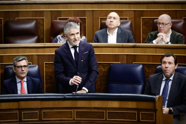 El ministro del Interior, Fernando Grande Marlaska, durante la sesi&oacute;n de control al Gobierno. (Foto: Congreso)