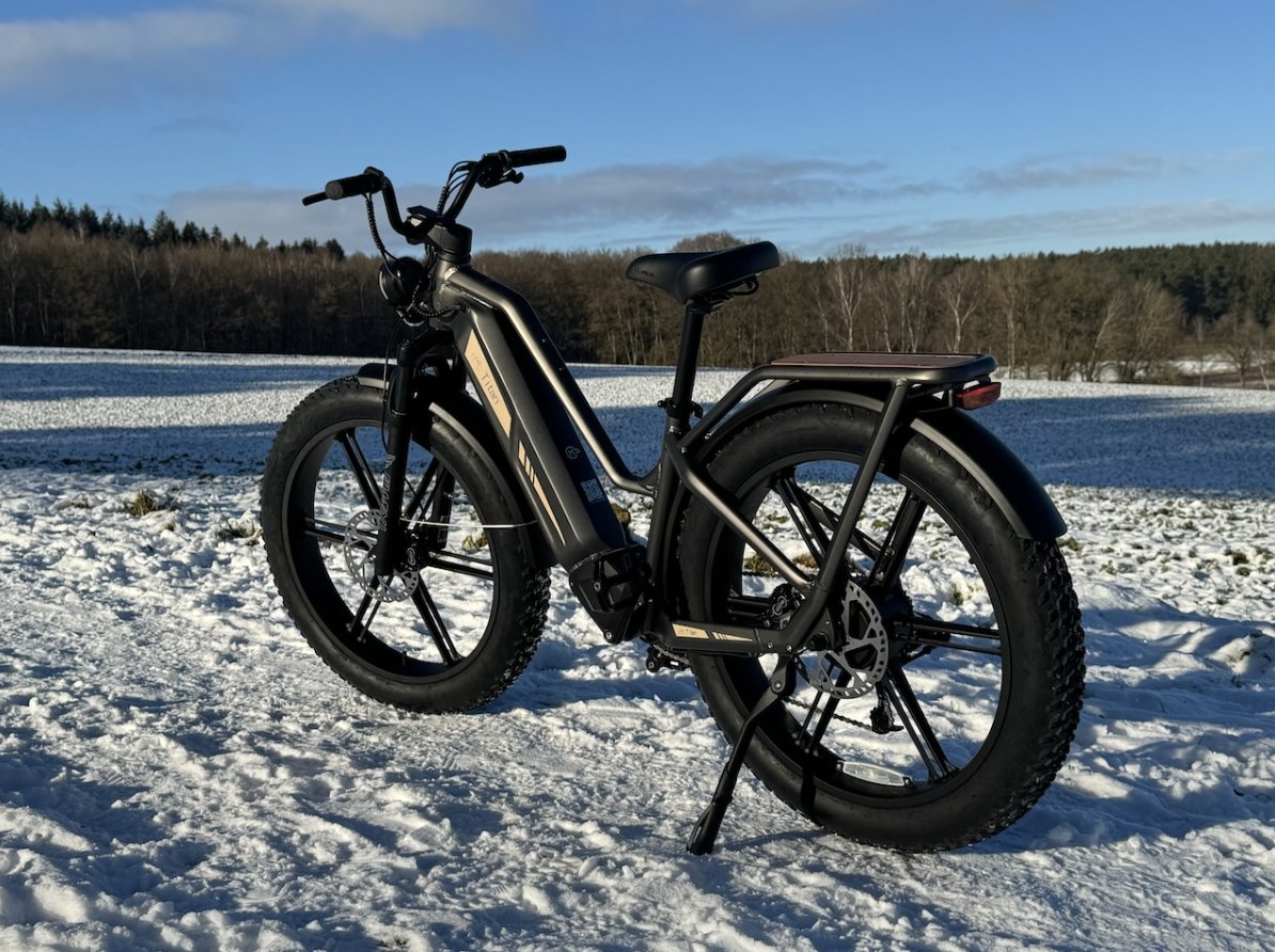 Bicicleta el&eacute;ctrica de monta&ntilde;a Fiido en un paisaje nevado