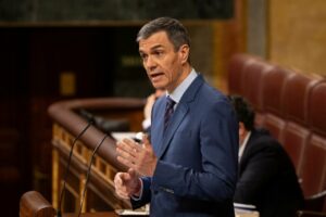 El presidente del Gobierno, Pedro S&aacute;nchez, en su comparecencia ante el Pleno del Congreso. (Foto: Eugenia Morago / PSOE)