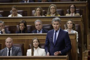 El l&iacute;der del PP, Alberto N&uacute;&ntilde;ez Feij&oacute;o, en la sesi&oacute;n de control al Gobierno. (Foto: Congreso)
