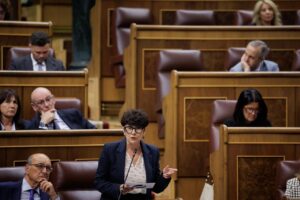 La portavoz del PNV en el Congreso, Maribel Vaquero, en la sesi&oacute;n de control. (Foto: Congreso)