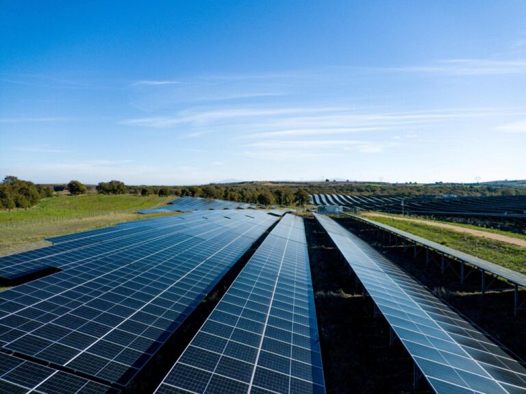 Imagen de una planta fotovoltaica de Iberdrola