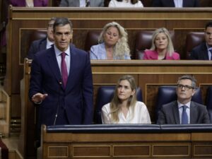 El presidente del Gobierno, Pedro S&aacute;nchez, en la sesi&oacute;n de control del Congreso de los Diputados. (Foto: Congreso)