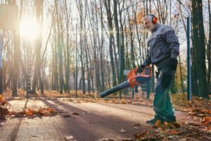 Hombre usando un soplador de hojas en un parque durante oto&ntilde;o